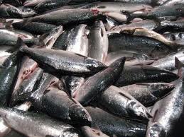 � �������� ���������� ����� ������ ������� � ����